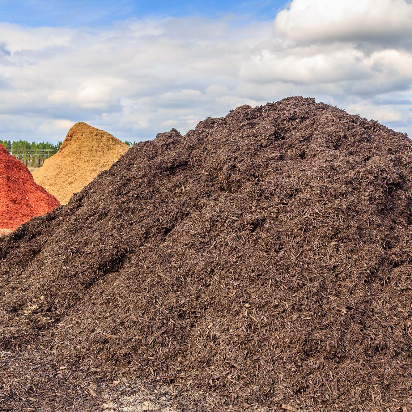Black Mulch or Wood Chip Mound. Mound of black mulch or wood chips use for landscaping top ground material and accents.